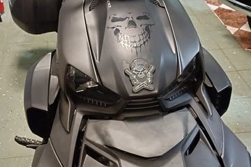Can-am Ryker 900 ACE