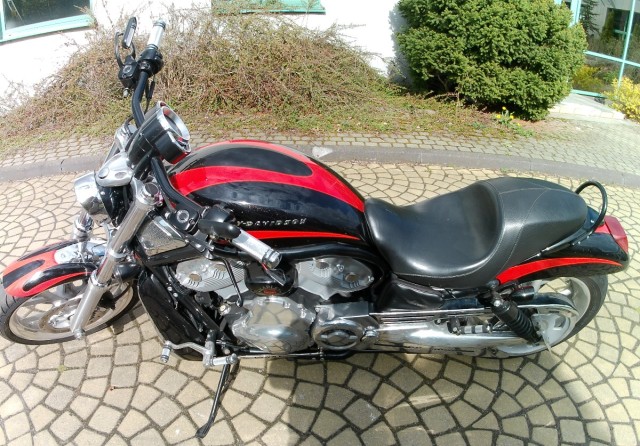 harley-davidson
